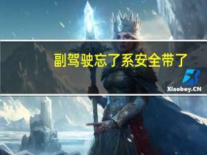 副驾驶忘了系安全带了