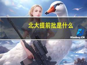 北大提前批是什么