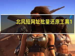 北风短网址批量还原工具 1.0 绿色免费版（北风短网址批量还原工具 1.0 绿色免费版功能简介）