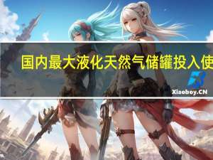 国内最大液化天然气储罐投入使用：自主研发、罐内能放一架C919