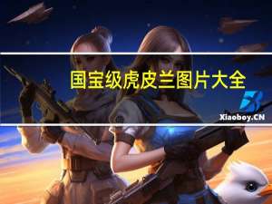 国宝级虎皮兰图片大全（国宝网）