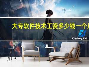 大专软件技术工资多少钱一个月
