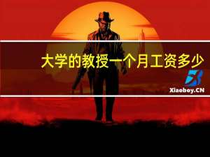大学的教授一个月工资多少