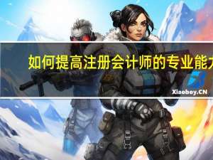如何提高注册会计师的专业能力