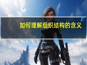 如何理解组织结构的含义