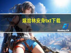 嫁给林安身txt下载