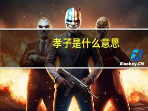 孝子是什么意思