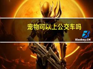 宠物可以上公交车吗