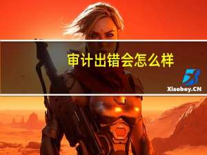 审计出错会怎么样