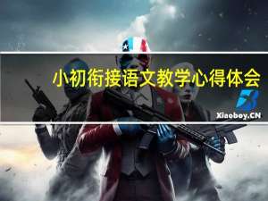 小初衔接语文教学心得体会