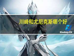 川崎和尤尼克斯哪个好