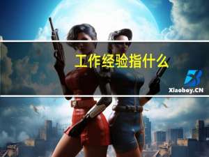 工作经验指什么