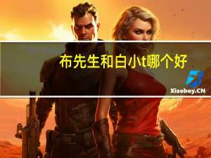 布先生和白小t哪个好