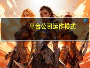 平台公司运作模式（平台公司是什么意思）