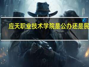 应天职业技术学院是公办还是民办
