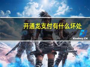 开通龙支付有什么坏处
