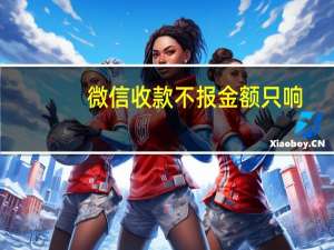 微信收款不报金额只响
