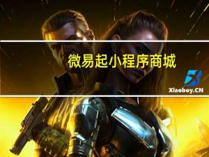 微易起小程序商城（微易起）