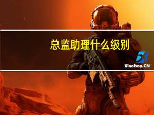 总监助理什么级别