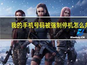 我的手机号码被强制停机怎么办