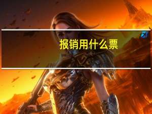 报销用什么票