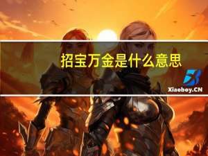 招宝万金是什么意思