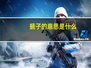 搋子的意思是什么