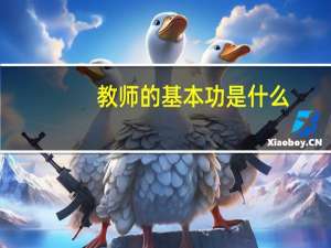 教师的基本功是什么