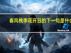 春风桃李花开日的下一句是什么