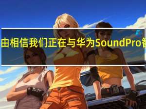 有充分的理由相信我们正在与华为SoundPro智能扬声器打交道
