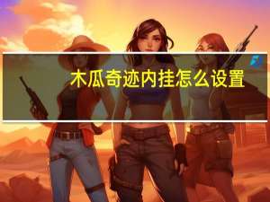 木瓜奇迹内挂怎么设置（木瓜奇迹外挂）