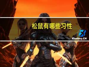松鼠有哪些习性