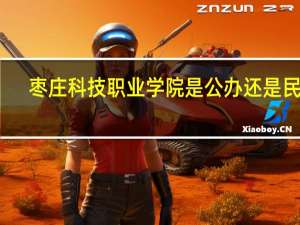枣庄科技职业学院是公办还是民办