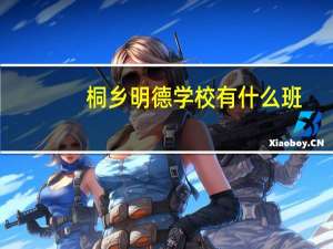 桐乡明德学校有什么班