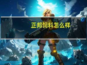 正邦饲料怎么样