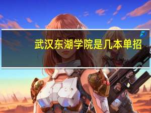 武汉东湖学院是几本单招