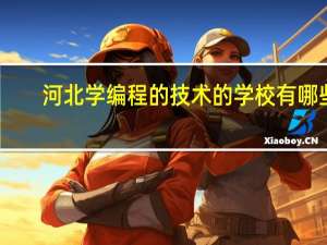河北学编程的技术的学校有哪些