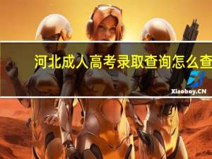 河北成人高考录取查询怎么查