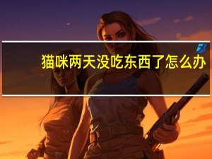 猫咪两天没吃东西了怎么办
