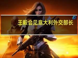 王毅会见意大利外交部长