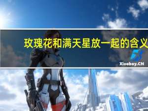 玫瑰花和满天星放一起的含义