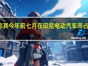 现代汽车称其今年前七月在印尼电动汽车市占率第一超越五菱