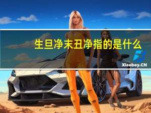 生旦净末丑净指的是什么