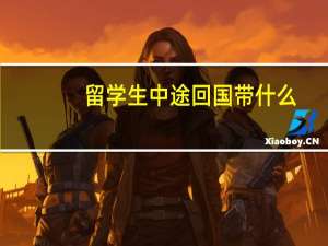 留学生中途回国带什么