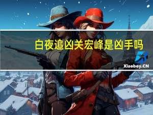 白夜追凶关宏峰是凶手吗