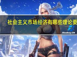 社会主义市场经济有哪些理论要点