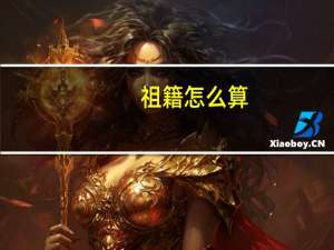 祖籍怎么算