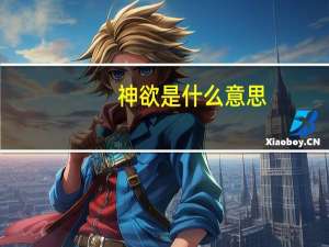 神欲是什么意思