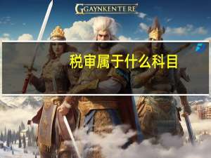 税审属于什么科目