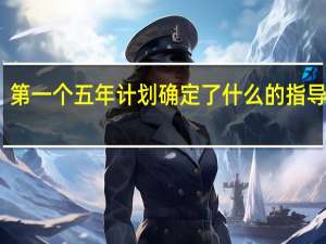第一个五年计划确定了什么的指导方针